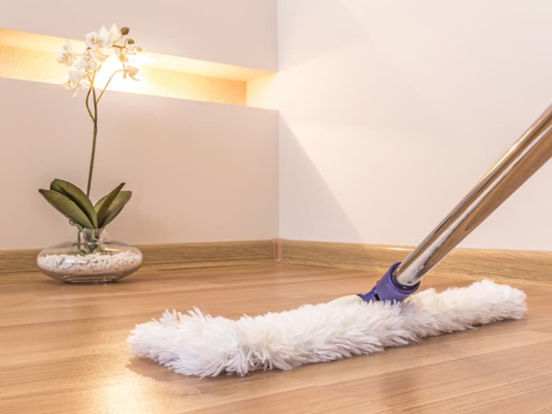 A Mop and Plant Pot on a Wood Floor